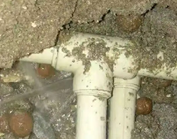 定海测漏水多少钱