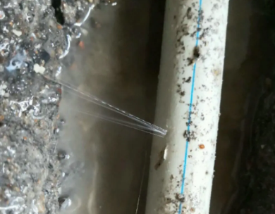 定海测漏水哪家好