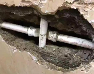 定海测漏水哪家好