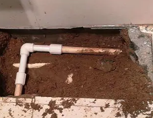 定海测漏水哪家好