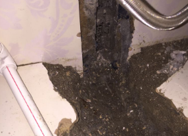 定海卫生间测漏水哪家好