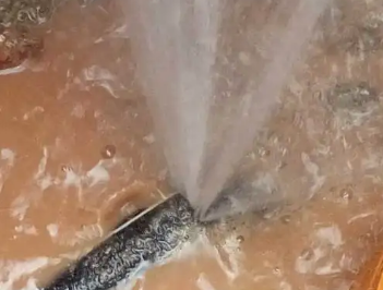 定海水管漏水检测哪家好