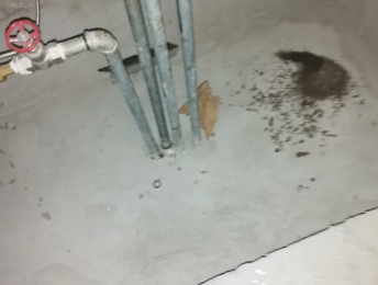 定海卫生间测漏水价格明细