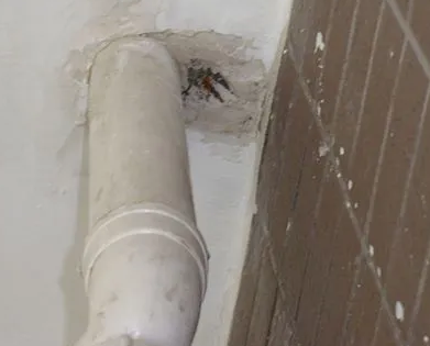 定海漏水检测哪家好